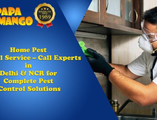 Home Sanitization Services in Ghaziabad