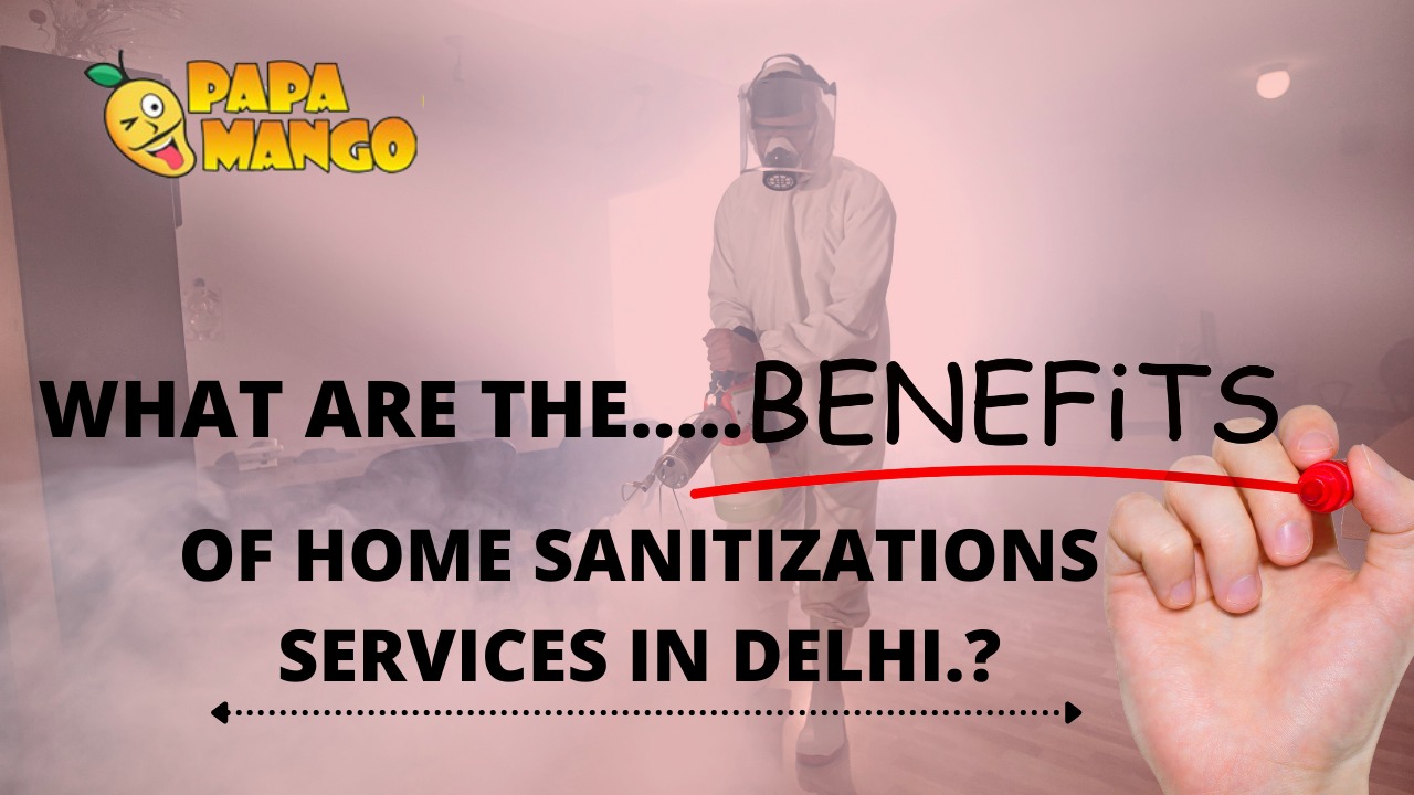 home sanitization services in delhi