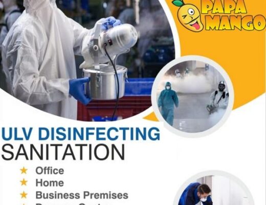 home sanitization services