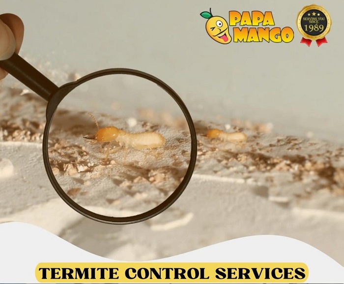 Termite Control services in Vaishali