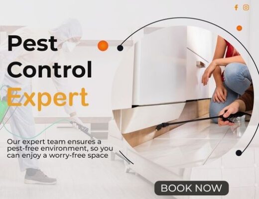 Best Pre Construction Pest control service provider in Delhi NCR